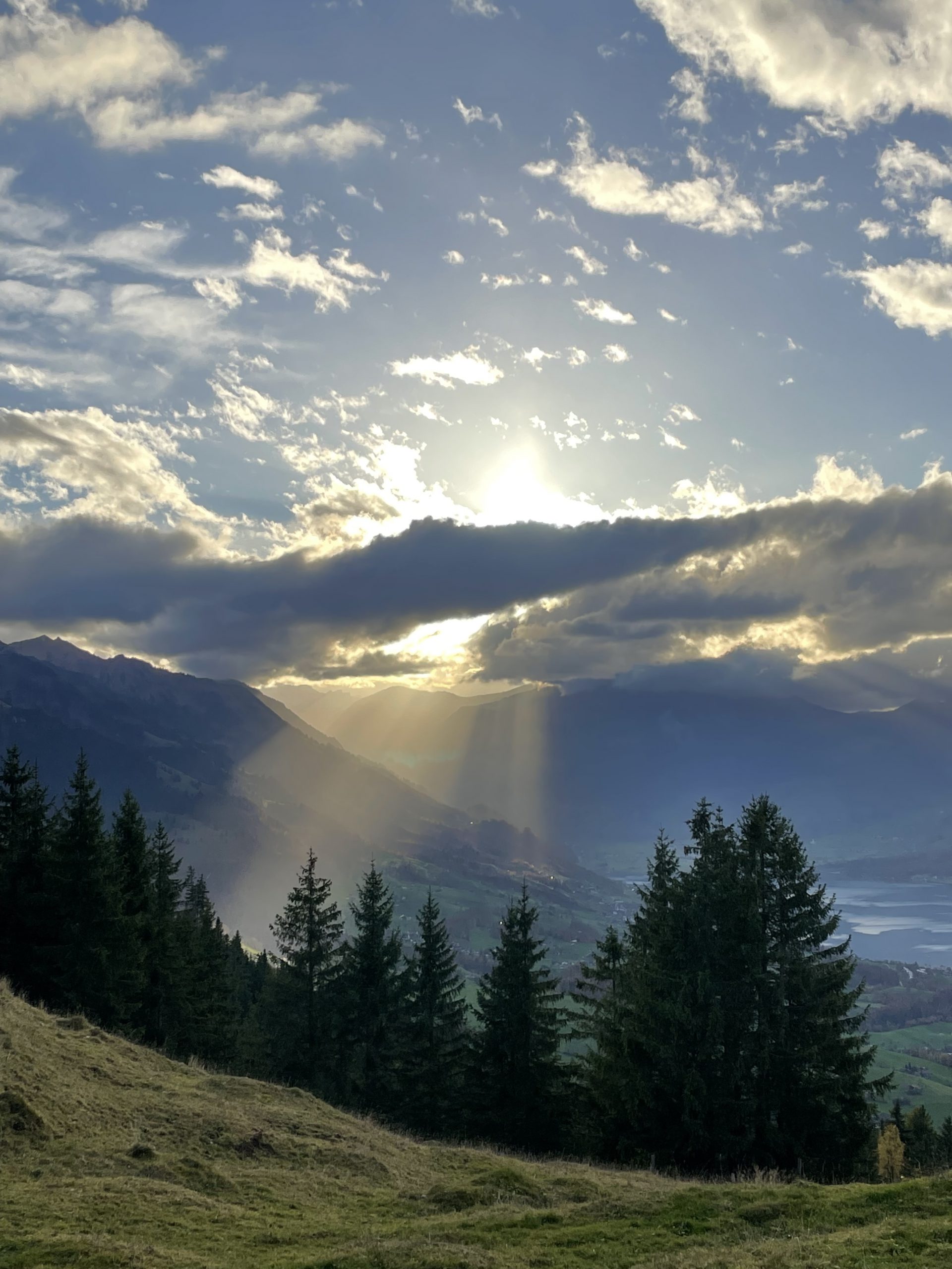 Stimmungsbild Natur